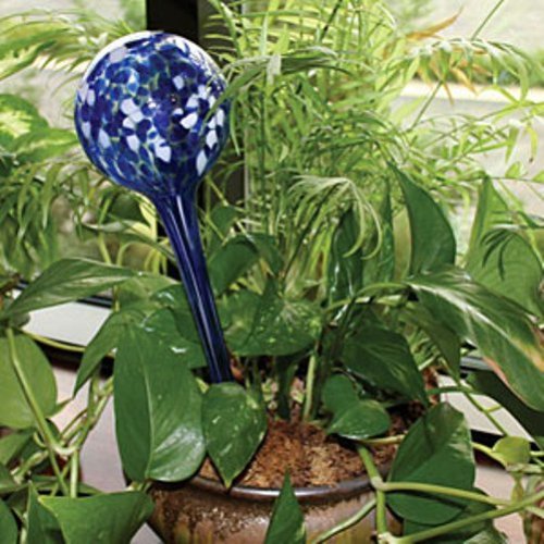 Aqua-Globes-AG011706-Glass-Plant-Watering-Bulbs-2-Pack-0-1