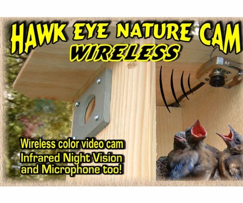 BirdhouseSpyCam-Hawk-Eye-Wireless-Spy-Camera-BCAMHEW-0