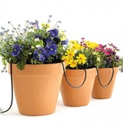 Raindrip-R560DP-Automatic-Container-and-Hanging-Baskets-Kit-0-3