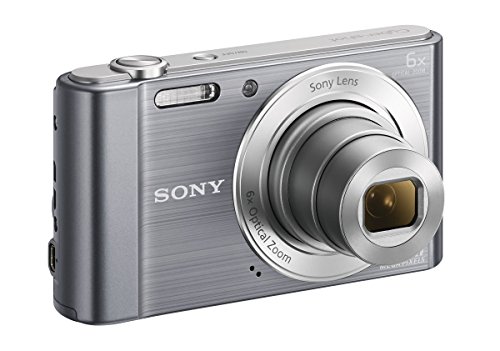 Sony-Cyber-Shot-DSCW810-201MP-Digital-Camera-0-1