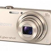 Sony-DSCWX220N-182-MP-Digital-Camera-with-27-Inch-LCD-Gold-0-1