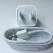 New-100-Original-Genuine-Apple-OEM-Iphone-5-5s-Lightning-USB-Data-Cable-Wall-Charger-0