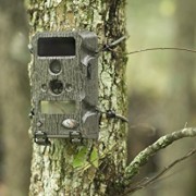 Wild-Game-Innovations-Blade-X6-Trail-Camera-Bark-0-0