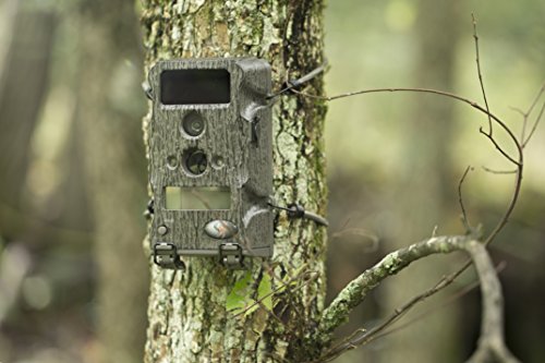 Wild-Game-Innovations-Blade-X6-Trail-Camera-Bark-0-0
