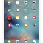 Apple-iPad-Pro-32GB-Wi-Fi-Gold-129-Display-0